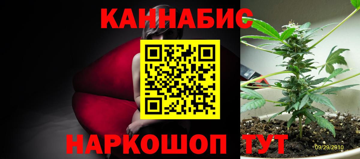 Шишки марихуана семена Усть-Илимск